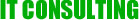 IT Consulting Services